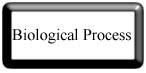 biological process